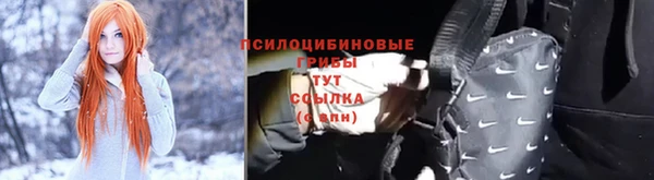 бошки Няндома