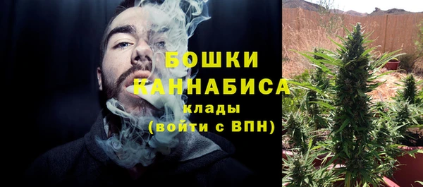 бошки Няндома