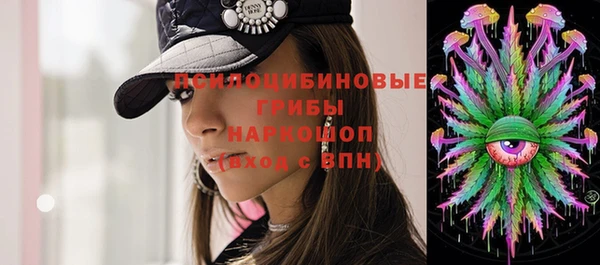 ECSTASY Алзамай