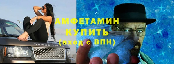 ECSTASY Алзамай