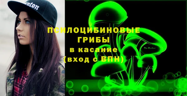 молекула духа Алексеевка