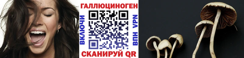 Псилоцибиновые грибы ЛСД  где продают наркотики  Омутнинск 